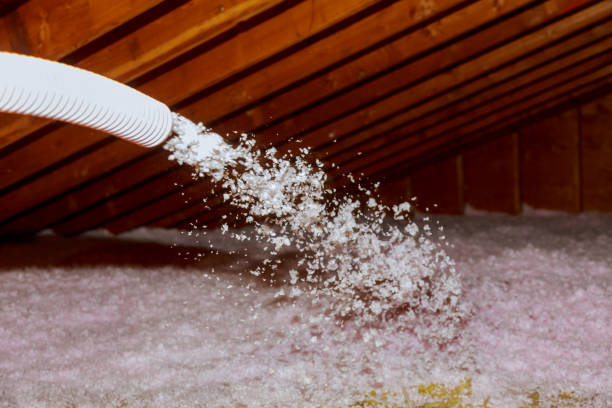 Best Insulation Maintenance and Repair in Limesa, CA