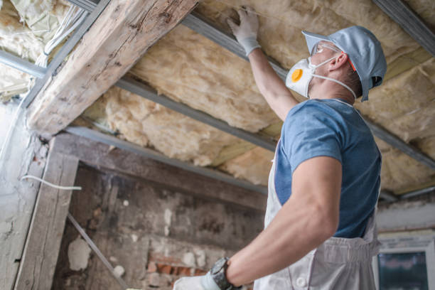 Best Eco-Friendly Insulation in Limesa, CA